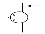 Figure 2a.