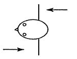 Figure 2b.