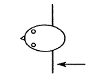 Figure 2c.